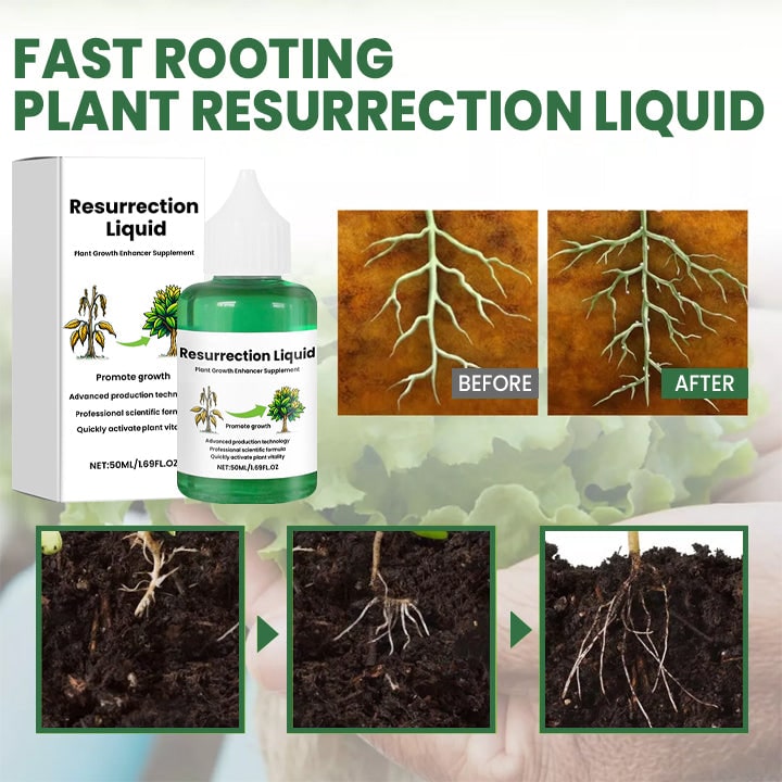 Indoor Plant Liquid Fertilizer with Rose Food and Supplement in Dropper Bottle for House