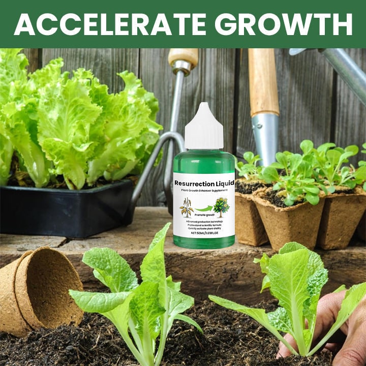 Indoor Plant Liquid Fertilizer with Rose Food and Supplement in Dropper Bottle for House