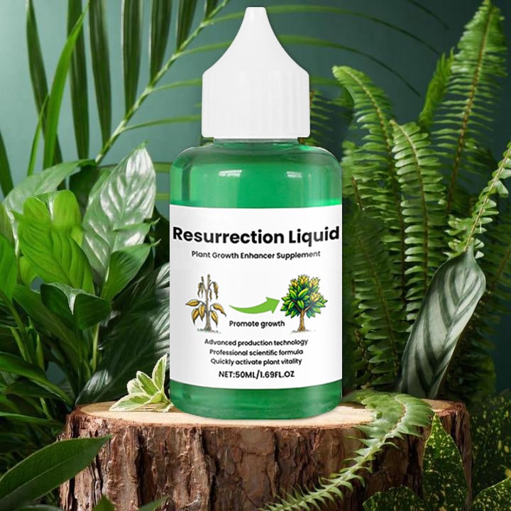 Indoor Plant Liquid Fertilizer with Rose Food and Supplement in Dropper Bottle for House
