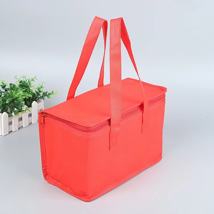 Insulated Lunch Bag Cooler with Thermal Box Zippered Tote Carrier with Dual Handles