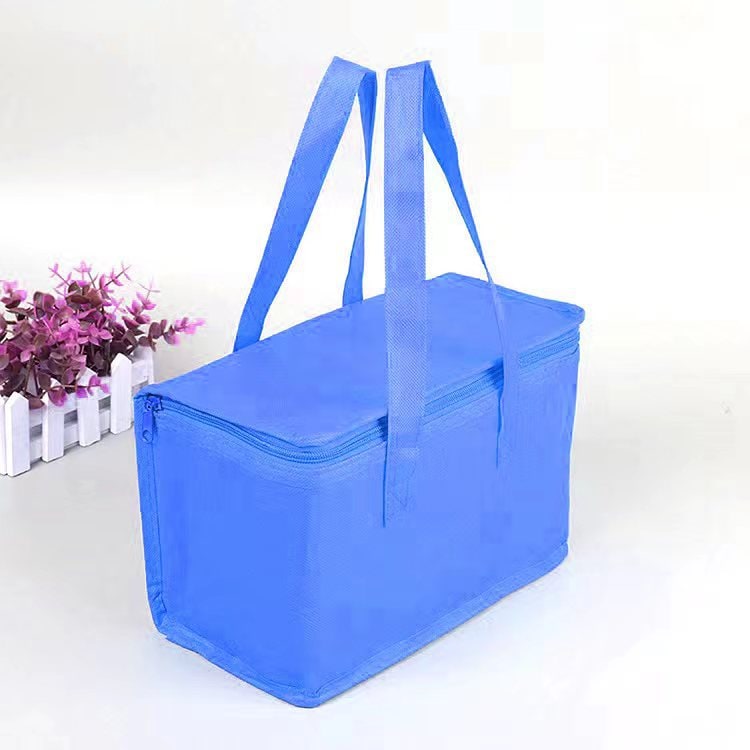 Insulated Lunch Bag Cooler with Thermal Box Zippered Tote Carrier with Dual Handles