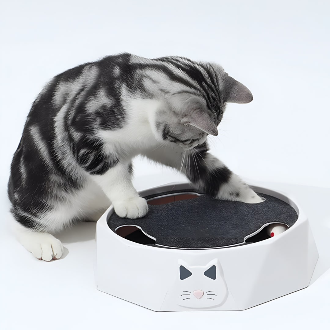 Interactive Cat Toy with Motorized Moving Mouse Scratching Pad and Track 11 Inches Scratcher