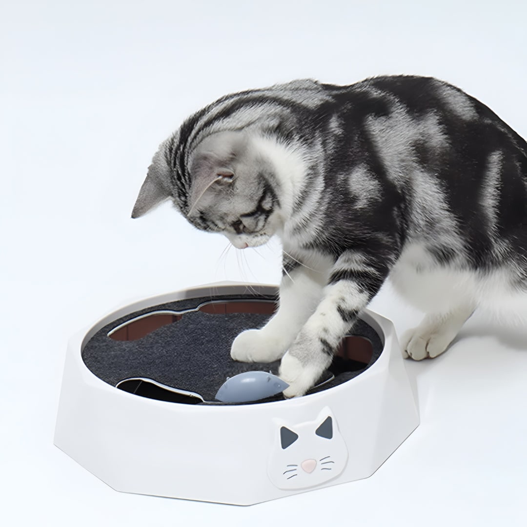 Interactive Cat Toy with Motorized Moving Mouse Scratching Pad and Track 11 Inches Scratcher