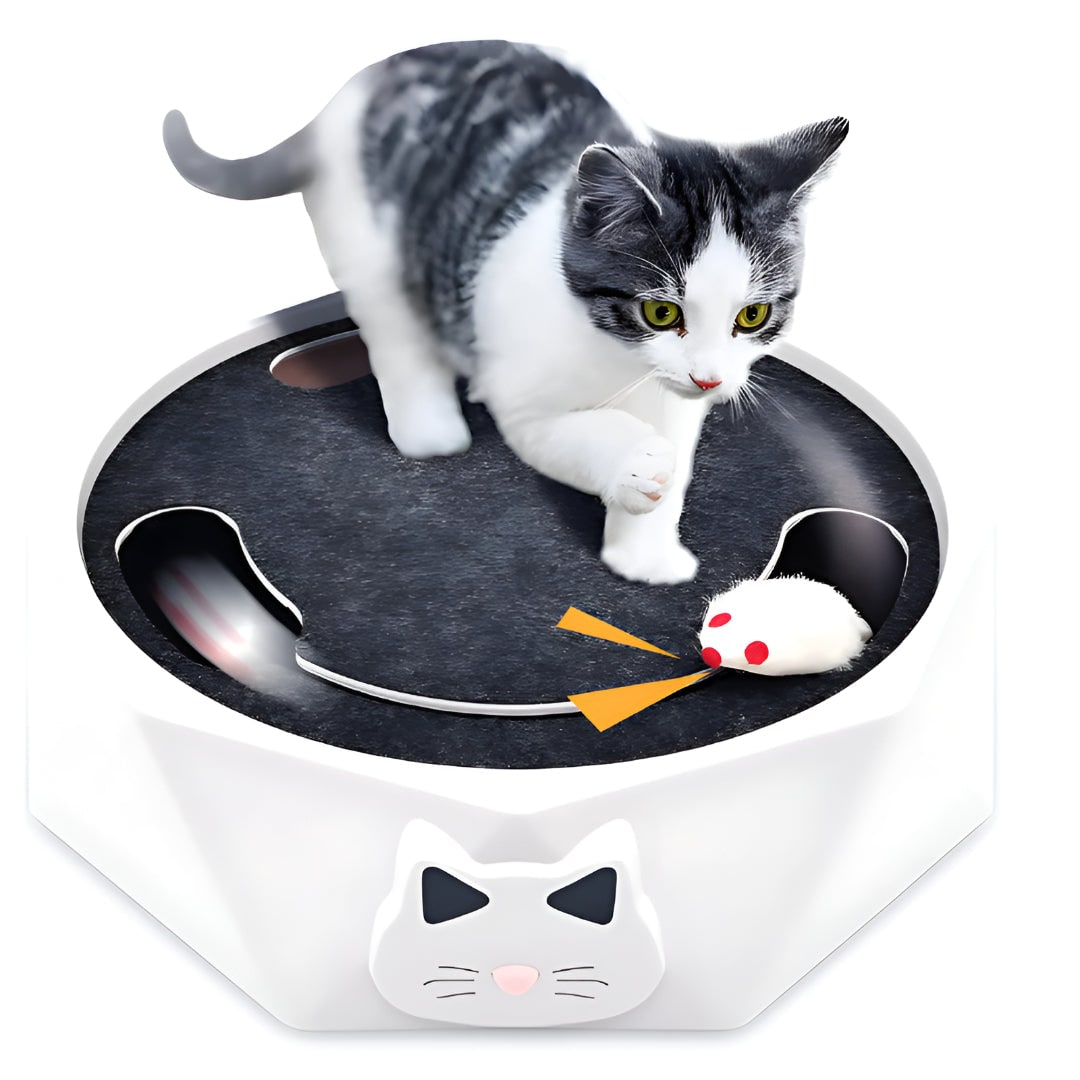 Interactive Cat Toy with Motorized Moving Mouse Scratching Pad and Track 11 Inches Scratcher