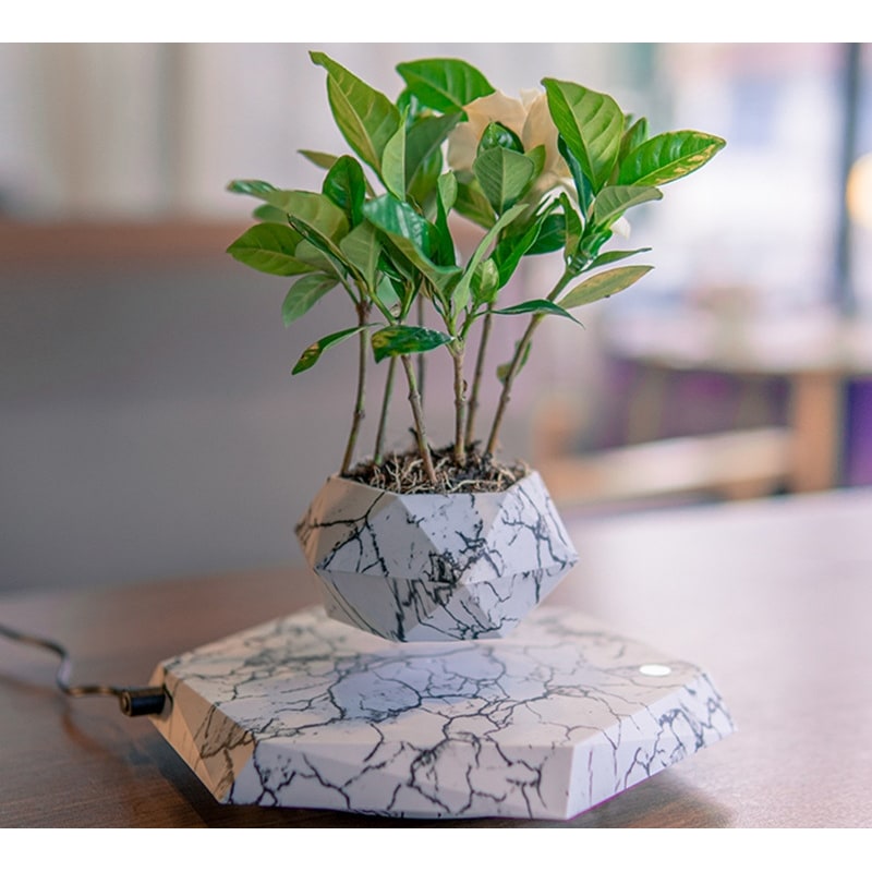 Kids' Levitating Plant Pot with Floating Marble Base and 360-Degree Rotation for Indoor Ceramic