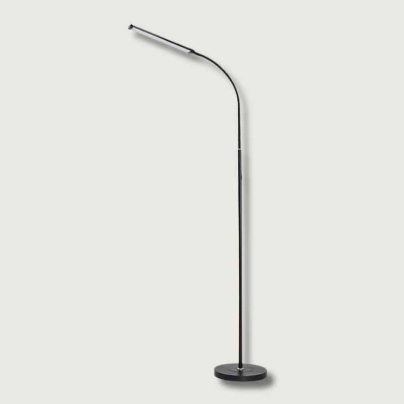 LED Floor Lamp with Adjustable Gooseneck Black Minimalist Modern Standing Light