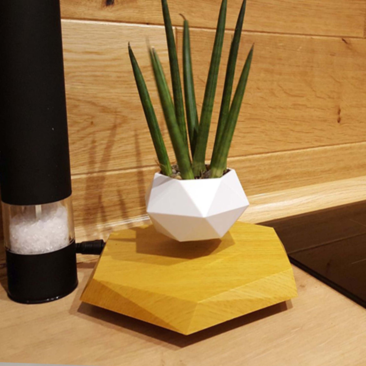 Levitating Flower Pot and Planter with Geometric Hexagonal Base for Indoor Plants