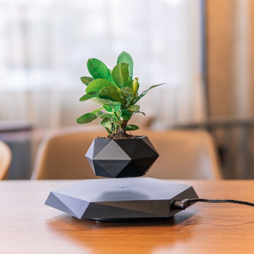 Levitating Flower Pot and Planter with Geometric Hexagonal Base for Indoor Plants