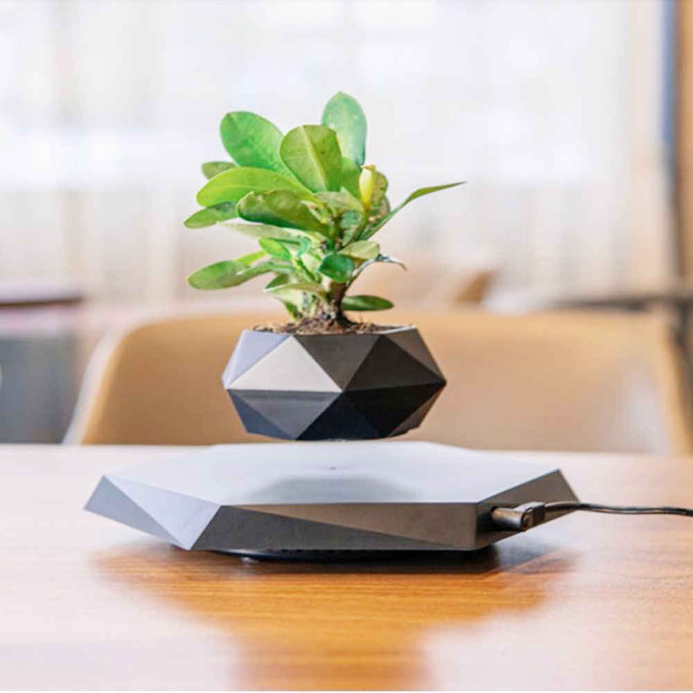 Levitating Flower Pot and Planter with Geometric Hexagonal Base for Indoor Plants
