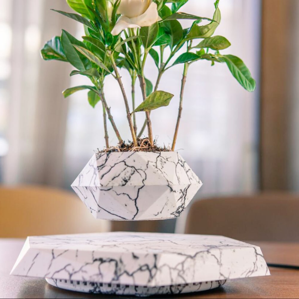 Levitating Flower Pot and Planter with Geometric Hexagonal Base for Indoor Plants