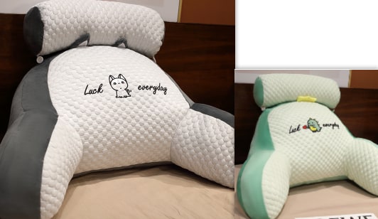 Lumbar Support Pillow with Reading Backrest Armrests and Detachable Neck Roll for Bed