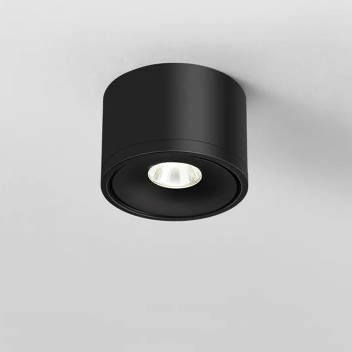 Ceiling Mounted Directional Spotlight Rotatable Modern Light