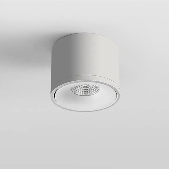 Ceiling Mounted Directional Spotlight Rotatable Modern Light