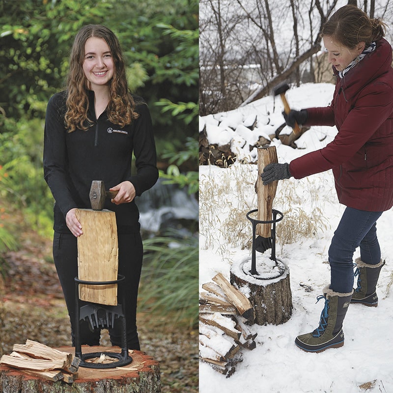 Manual Cast Iron Log Splitter with Safety Ring and Stump Mount