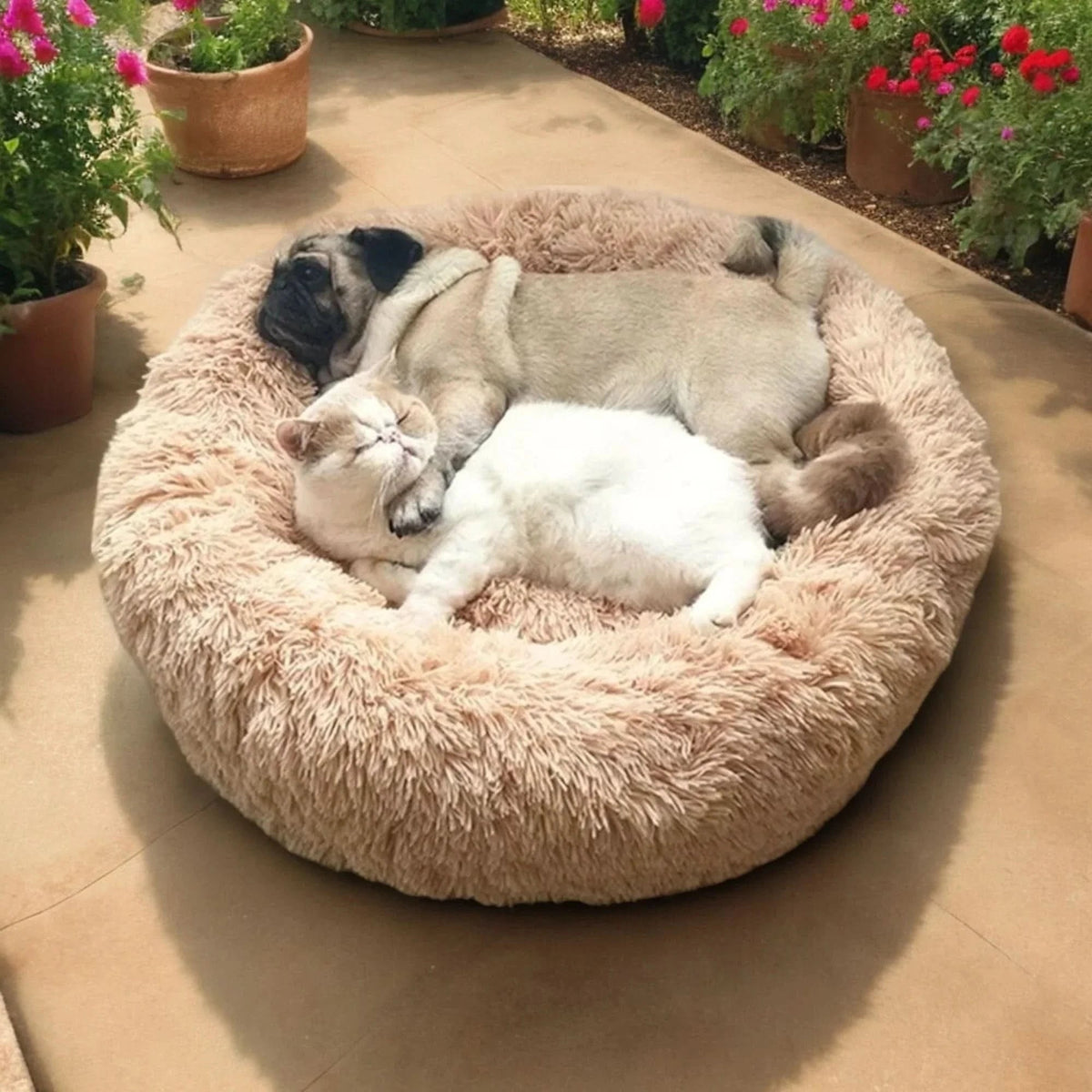 Orthopedic Donut Plush Dog Bed with Bolster and Faux Fur Shaggy Cushion