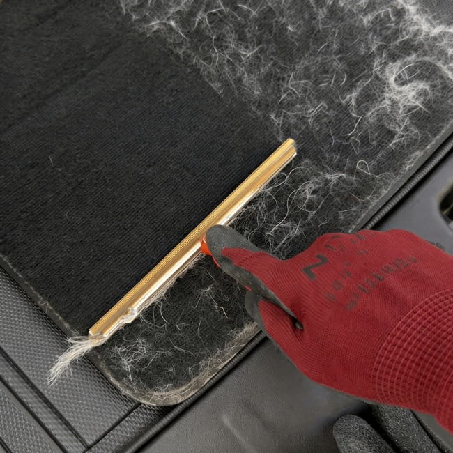 Large Scraper - Elonora™