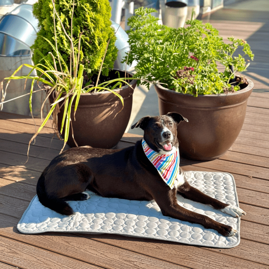 Self Cooling Pet Mat for Dogs and Cats