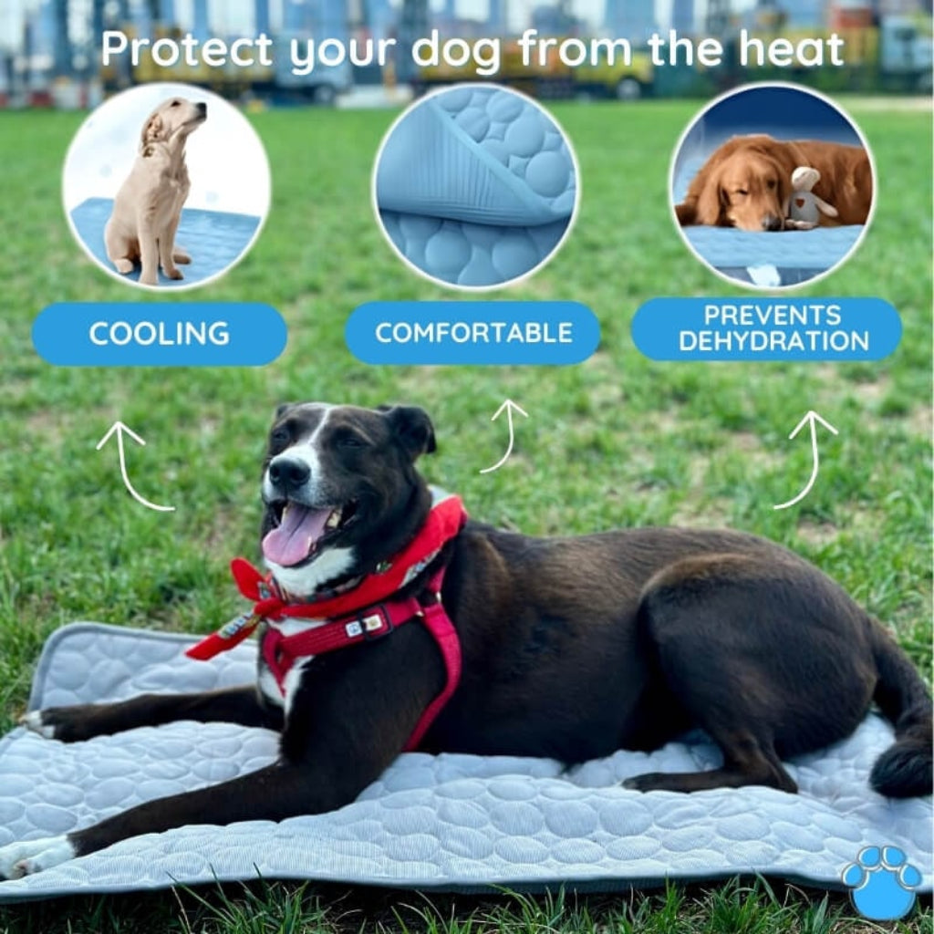 Self Cooling Pet Mat for Dogs and Cats