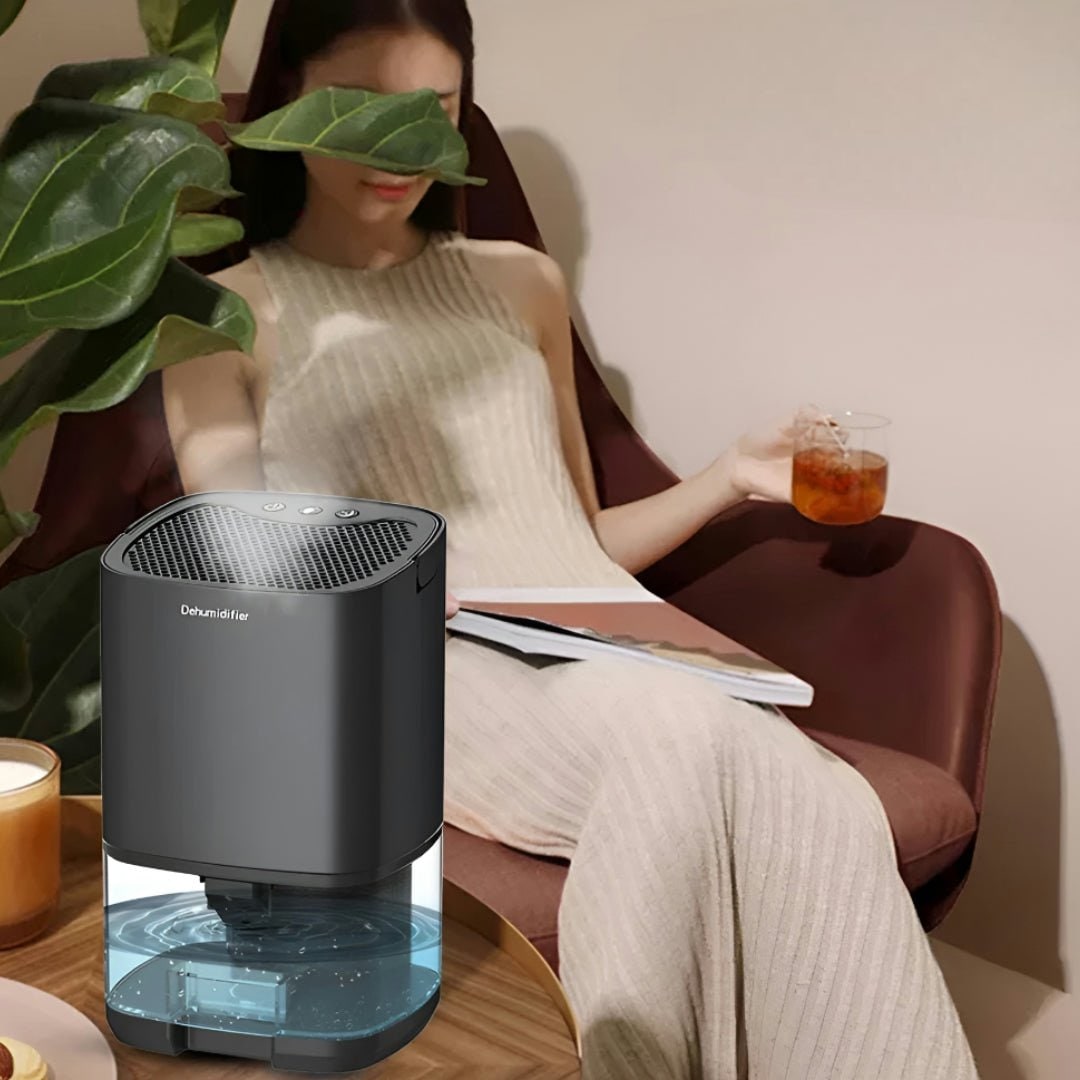 Portable Dehumidifier for Basement Crawl Space and Small Bedroom with Transparent Water Tank
