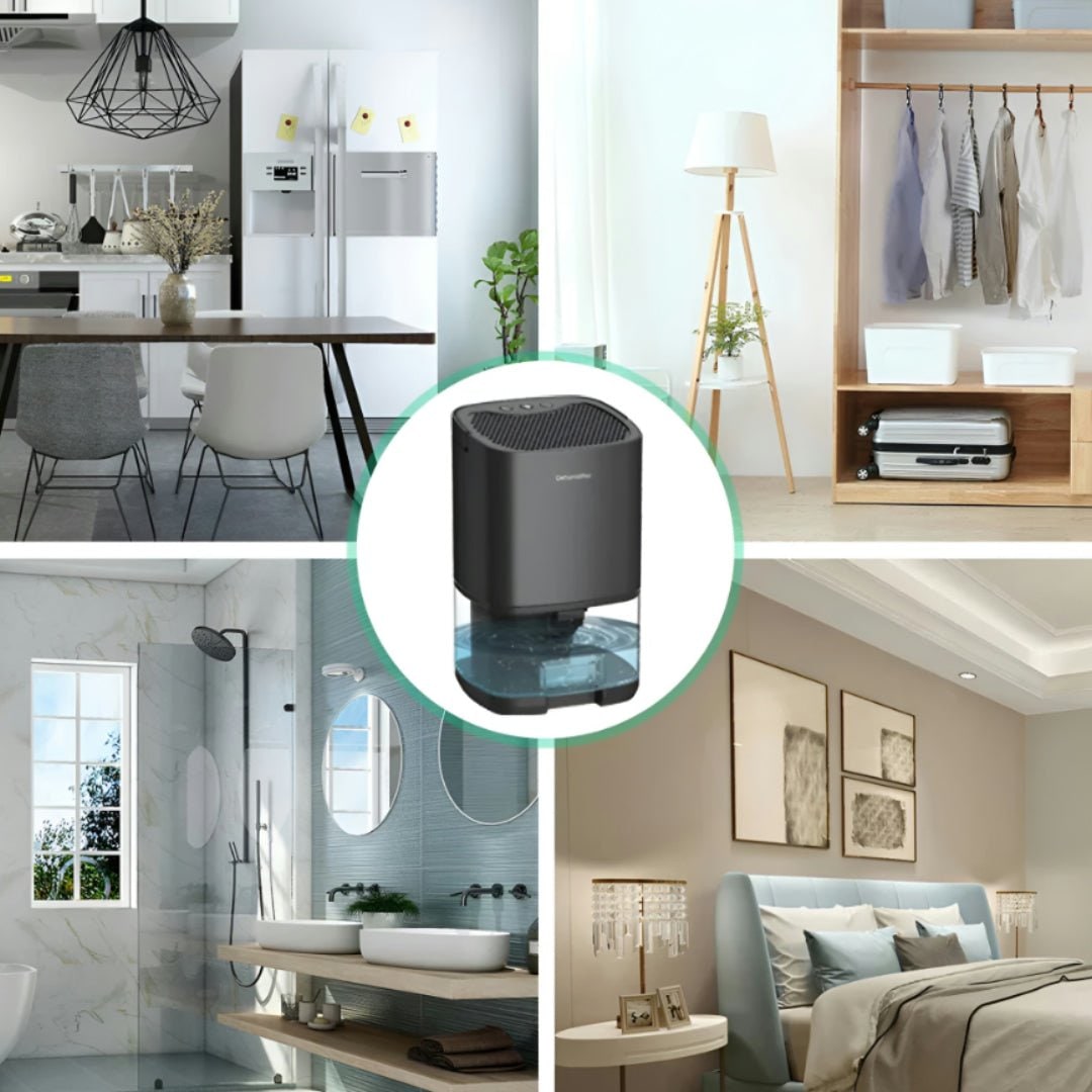 Portable Dehumidifier for Basement Crawl Space and Small Bedroom with Transparent Water Tank