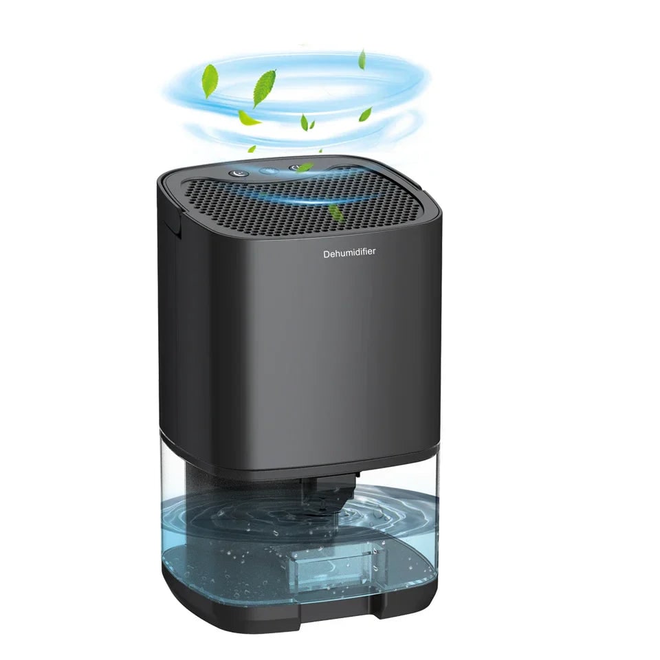Portable Dehumidifier with Drain Hose for Basement Crawl Space and Air Purifier 1000ml