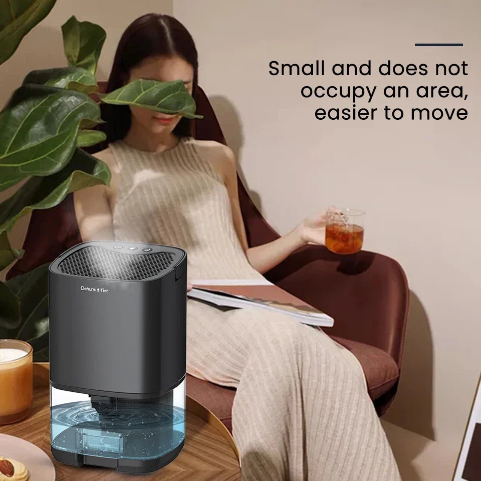 Portable Dehumidifier with Drain Hose for Basement Crawl Space and Air Purifier 1000ml