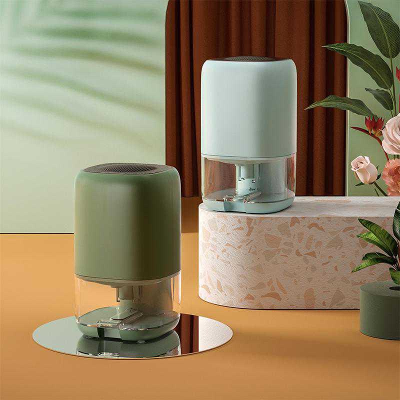Portable Mini Dehumidifier for Basement Crawl Space Closet and Bathroom with Clear Water Tank