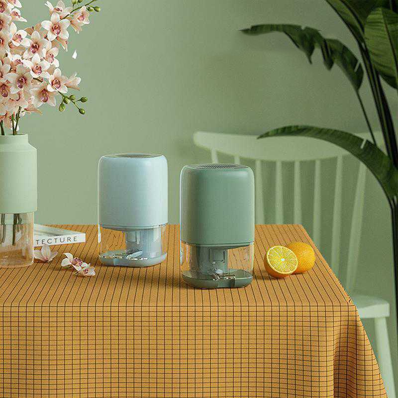 Portable Mini Dehumidifier for Basement Crawl Space Closet and Bathroom with Clear Water Tank