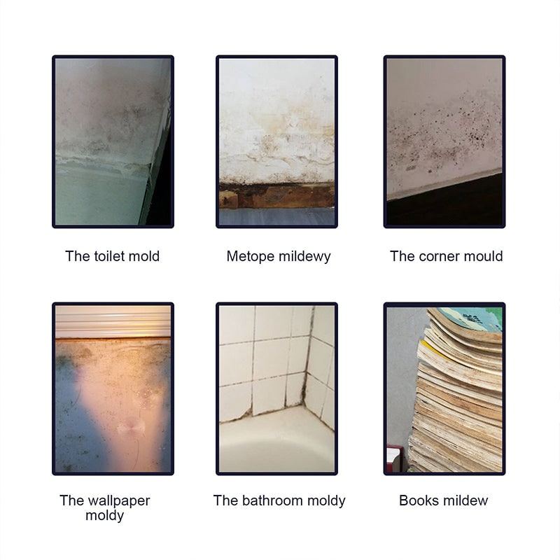 Professional Mold Remover and Mildew Spray with Fast-Acting Stain Killer Formula