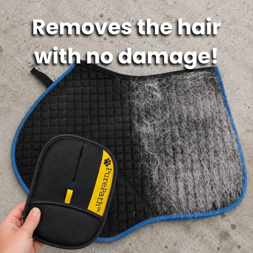 Elonora™ Horse Hair Glove