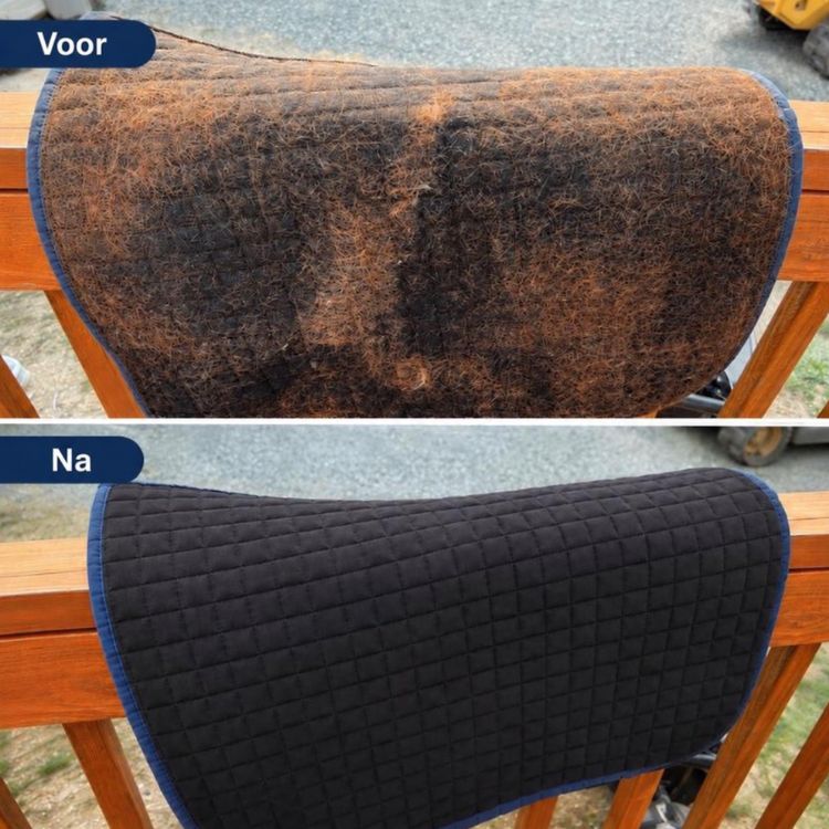 Elonora™ Horse Hair Glove (NL)