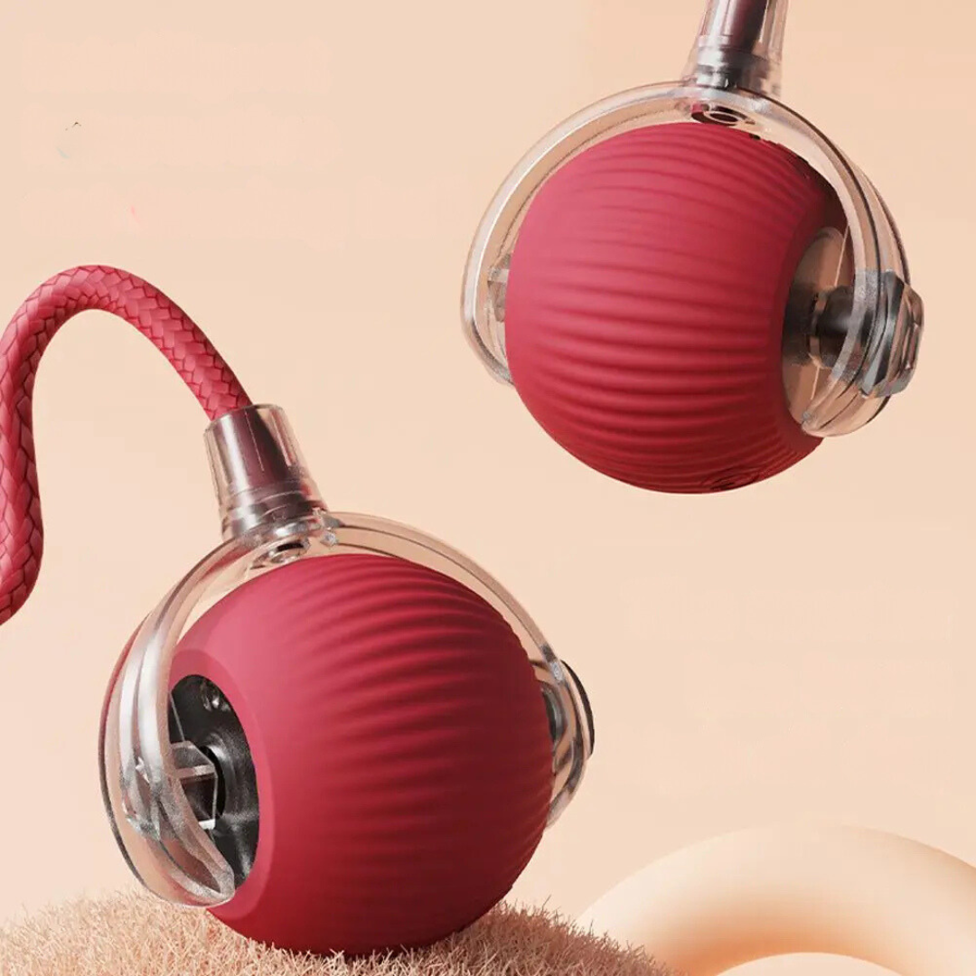Rechargeable Cat Play Toy with Rolling Action