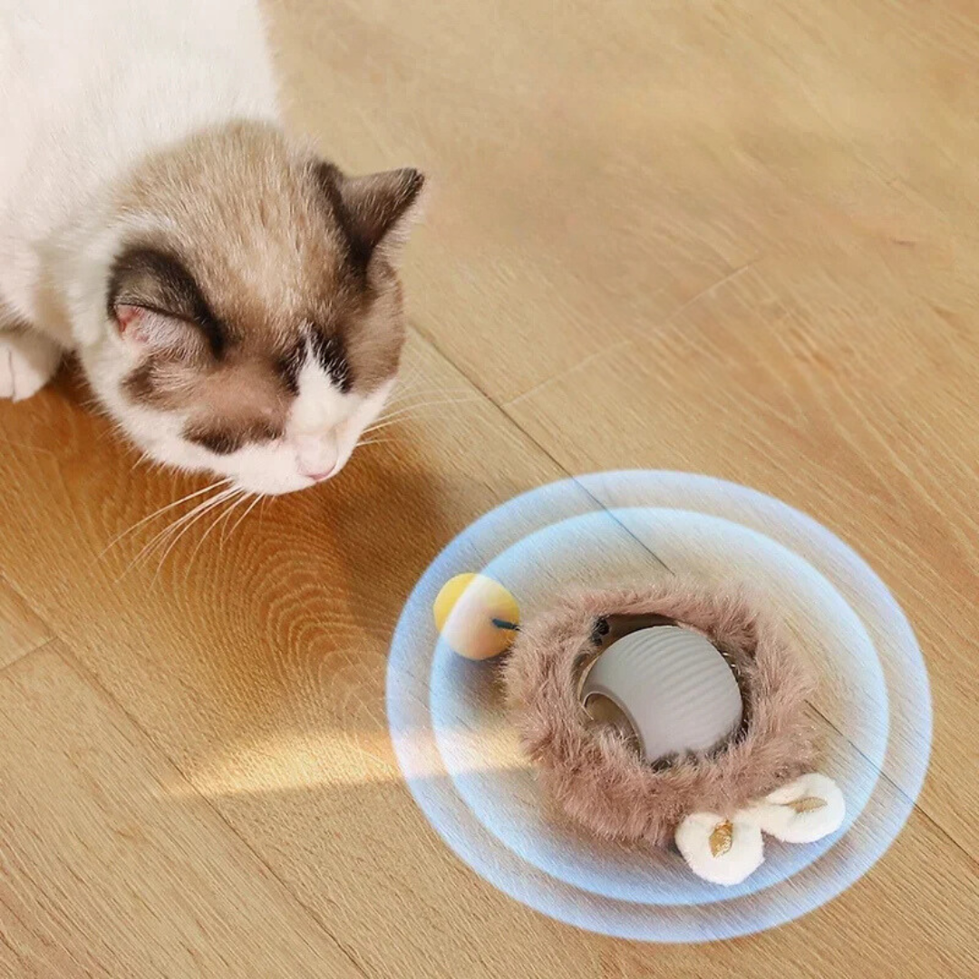 Rechargeable Cat Play Toy with Rolling Action