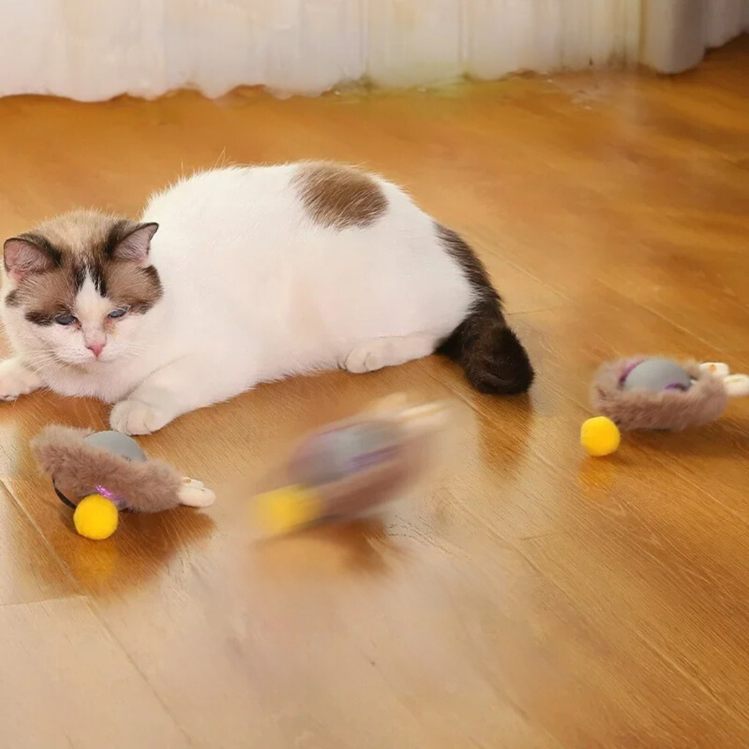 Rechargeable Cat Play Toy with Rolling Action