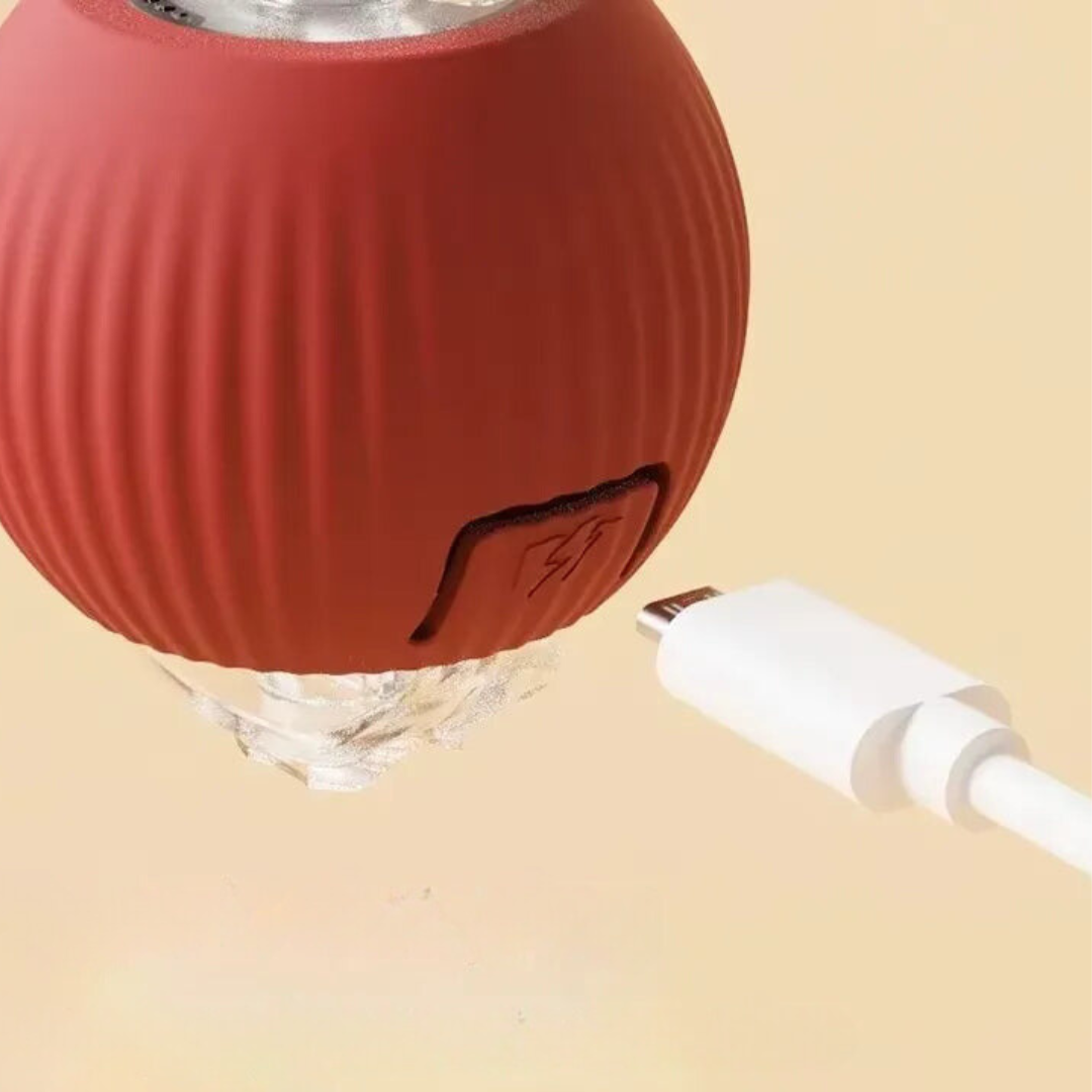 Rechargeable Cat Play Toy with Rolling Action
