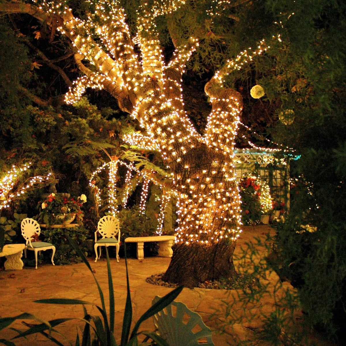 Outdoor Solar Fairy Lights Weatherproof LED for Garden & Events