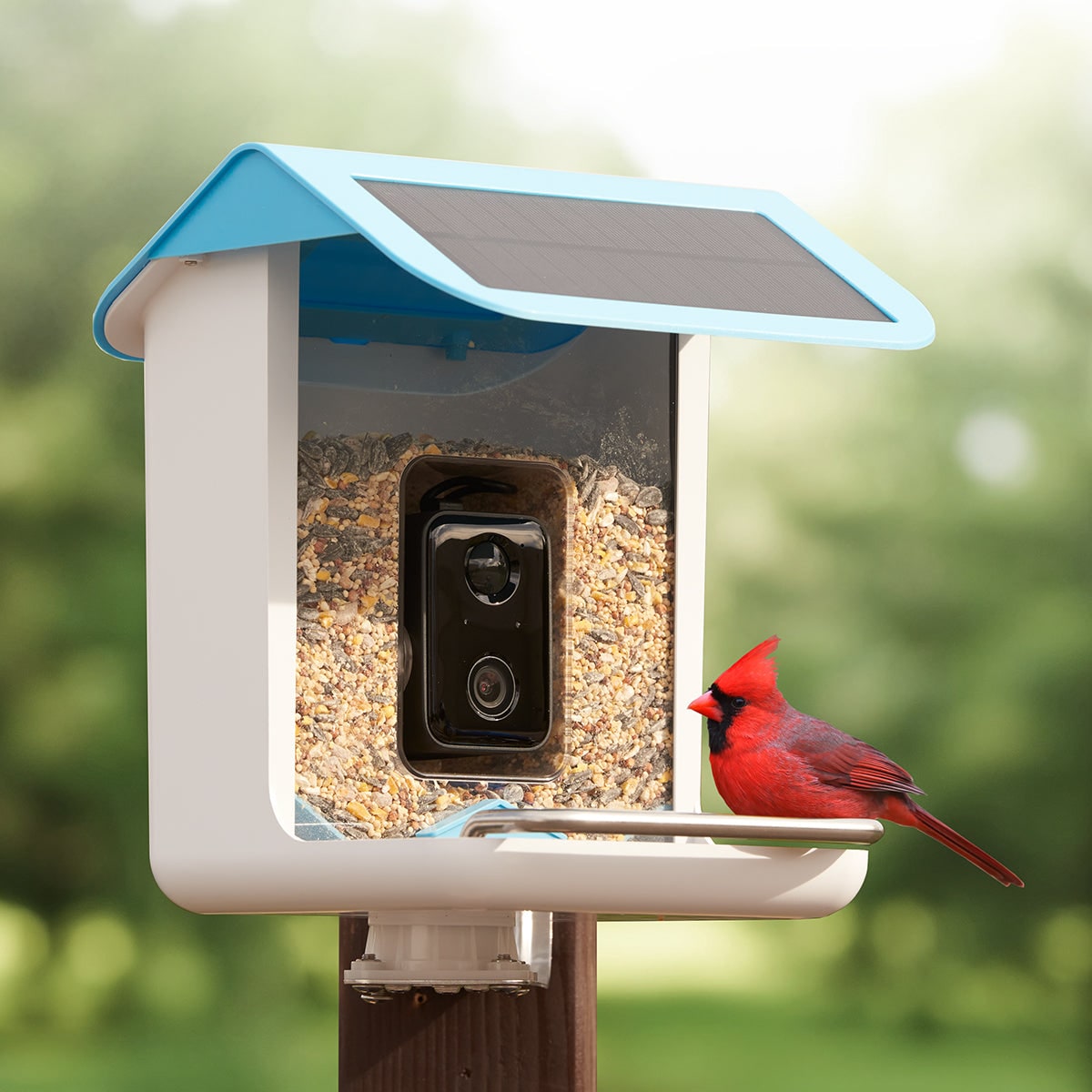 Smart Bird Feeder Camera Solar Powered WIFI Waterproof Outdoor With Video