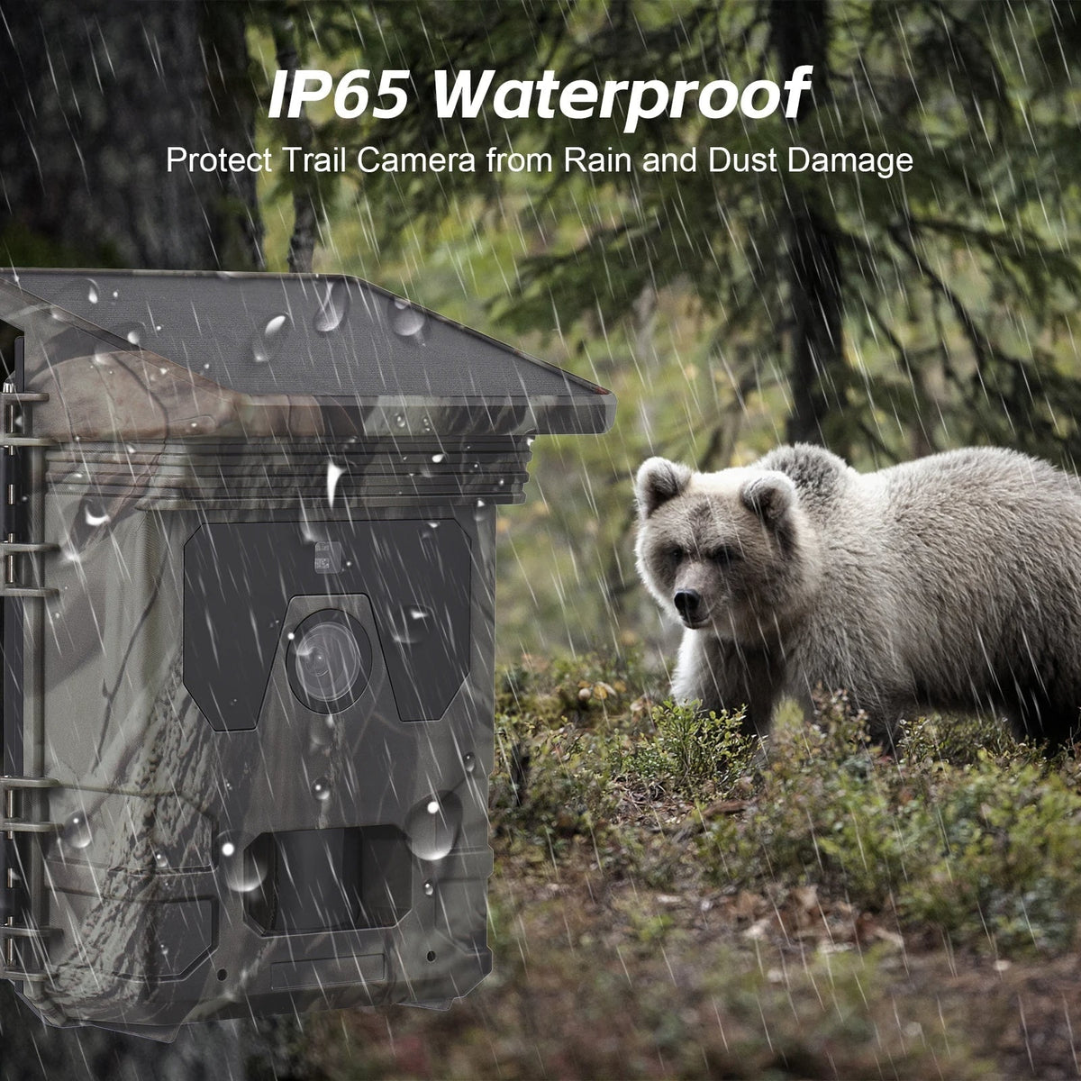 Solar Powered Cell Trail Camera with Night Vision Motion Sensor and Sd Card Slot