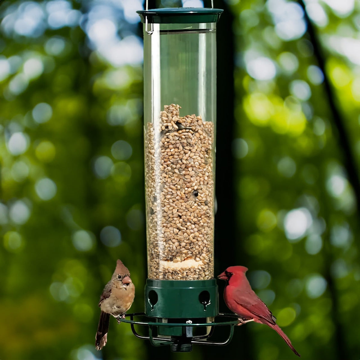 Squirrel Proof Bird Feeder with Weight Activated Spinning Perch and Anti Guard