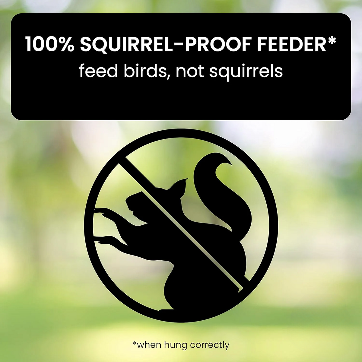 Squirrel Proof Bird Feeder with Weight Activated Spinning Perch and Anti Guard