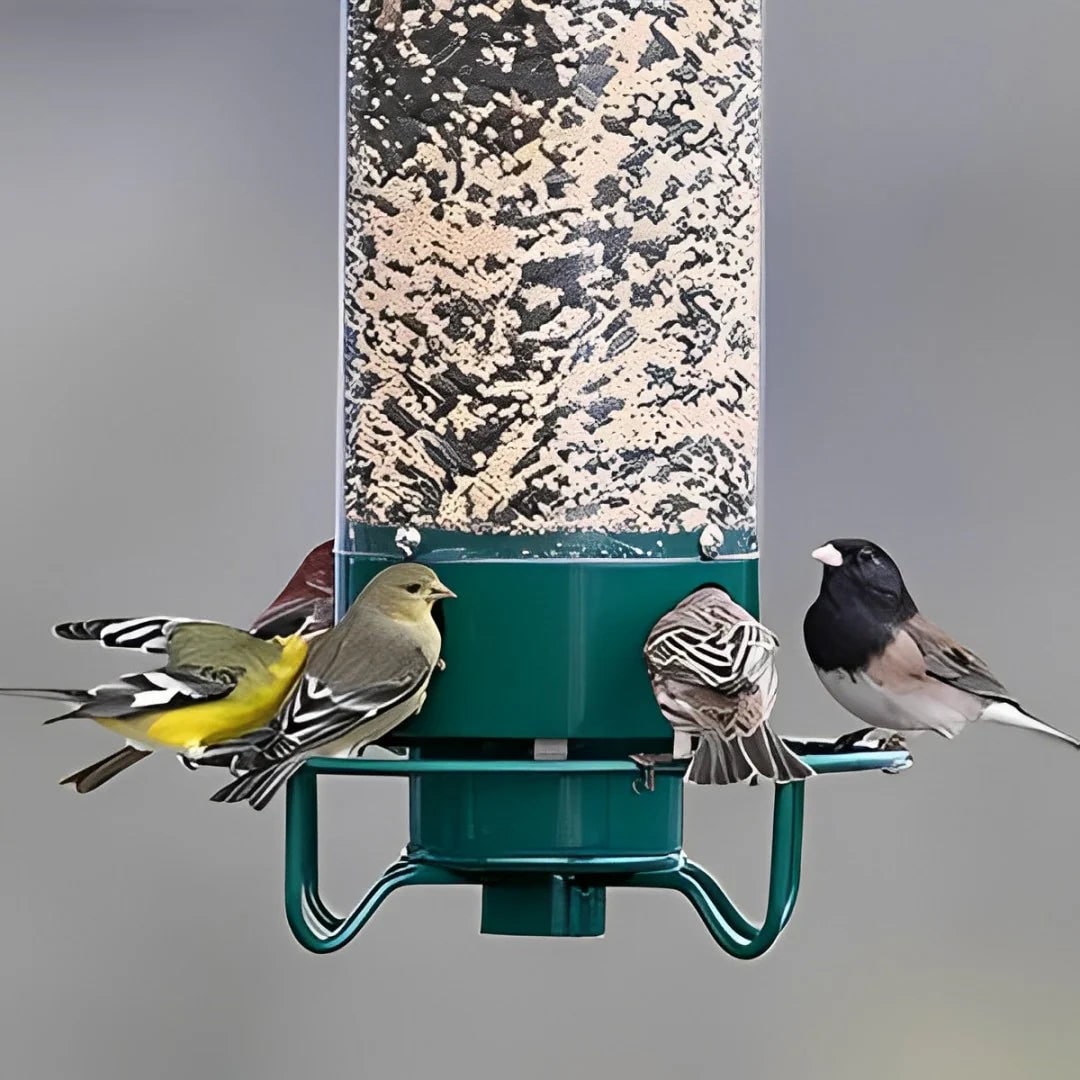 Squirrel Proof Bird Feeder with Weight Activated Spinning Perch and Anti Guard