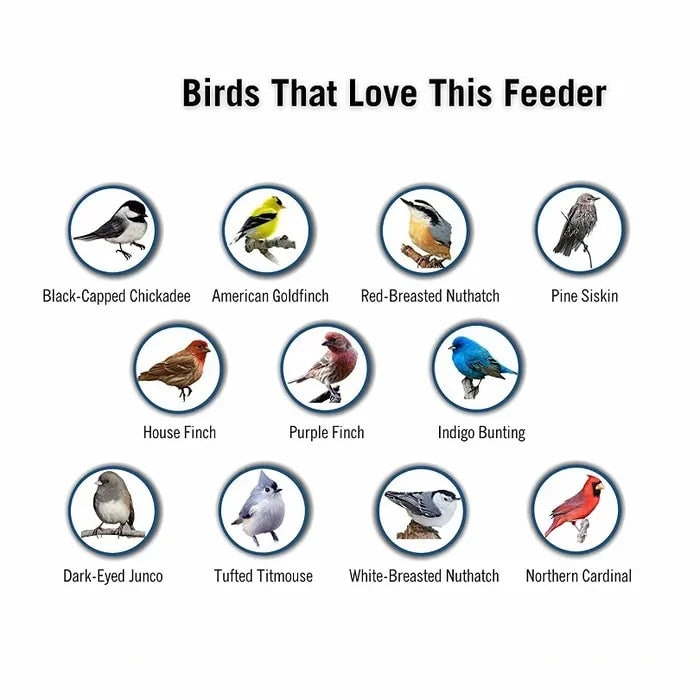 Squirrel Proof Bird Feeder with Weight Activated Spinning Perch and Anti Guard