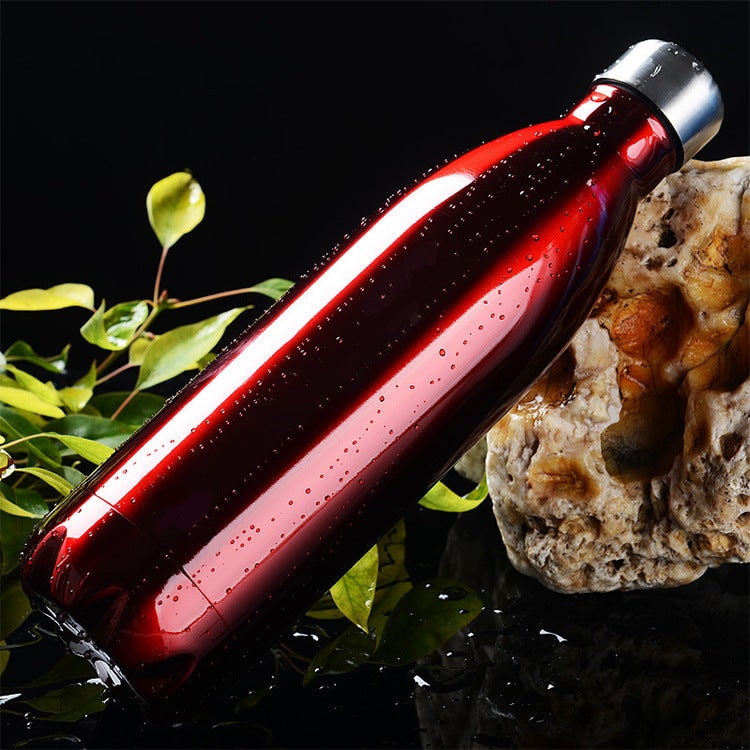 Stainless Steel Insulated Leak Proof Water Bottle with Double Wall and Screw Cap