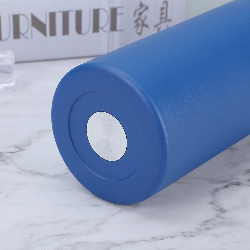 Stainless Steel Vacuum Insulated Water Bottle with Double Wall and Metal Loop Handle