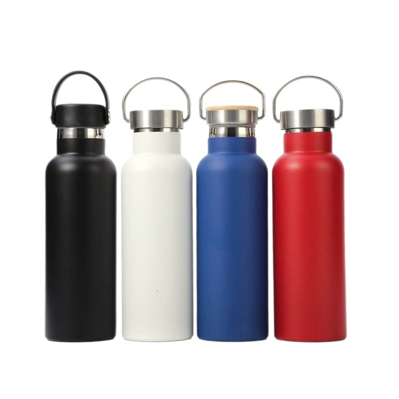 Stainless Steel Vacuum Insulated Water Bottle with Double Wall and Metal Loop Handle