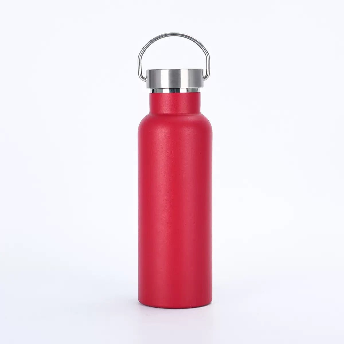 Stainless Steel Vacuum Insulated Water Bottle with Double Wall and Metal Loop Handle