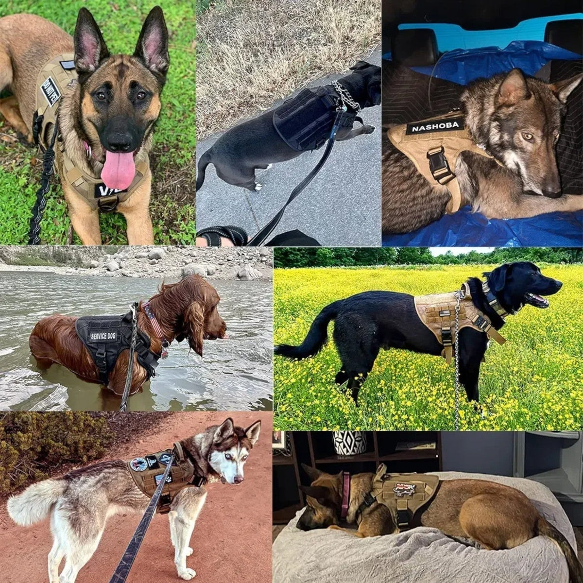 Tactical Dog Harness Vest with Control Handle and Front Clip for Training