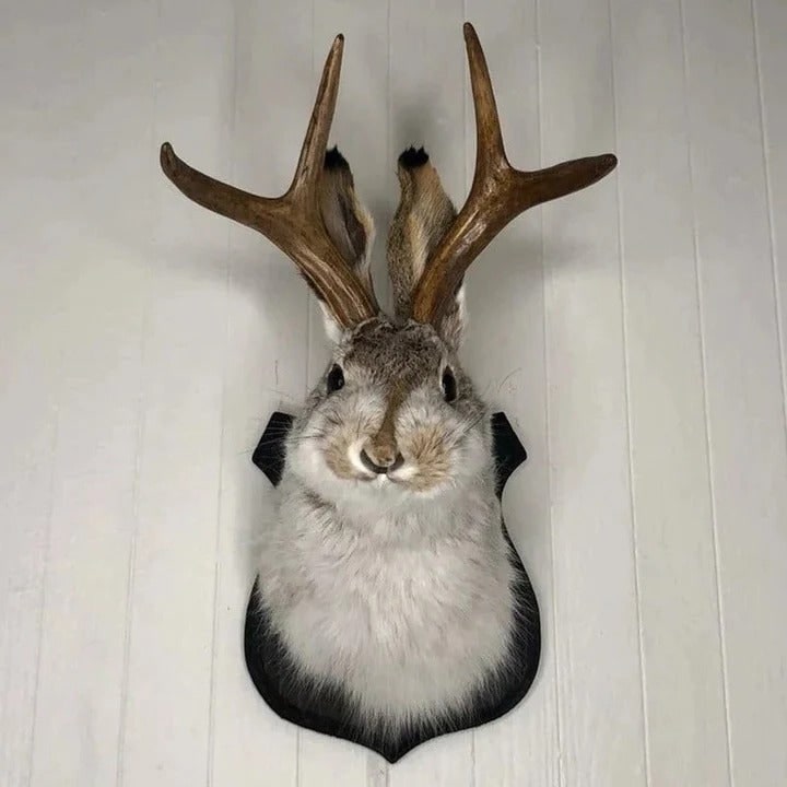 Taxidermy Jackalope Wall Mount on Wooden Plaque