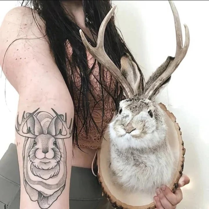Taxidermy Jackalope Wall Mount on Wooden Plaque
