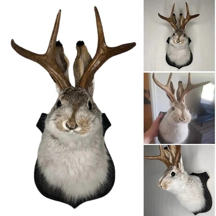 Taxidermy Jackalope Wall Mount on Wooden Plaque